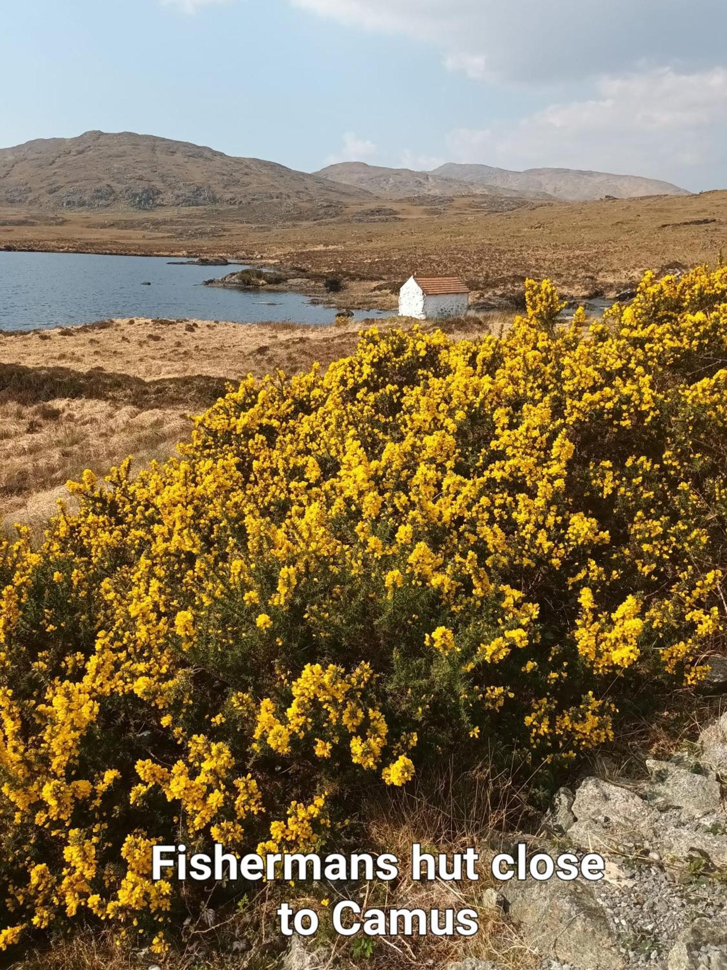 Connemara Lake View Apartment Camus Eighter Exterior foto